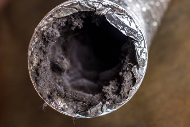 Best Local Air Duct Cleaning Services  in Elwood, NY